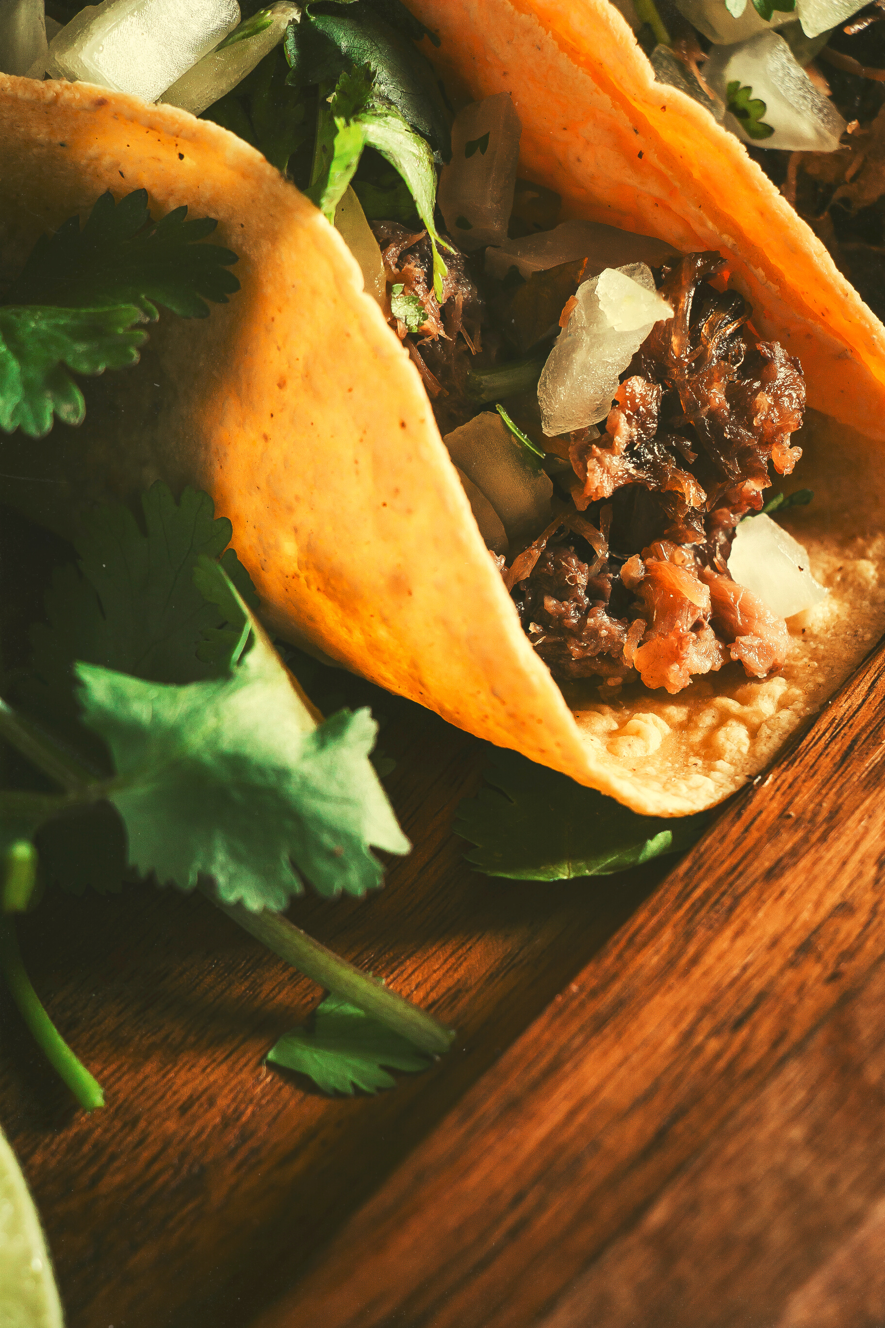 Mexican Taco of Barbecue with Coriander and Onion Close-up